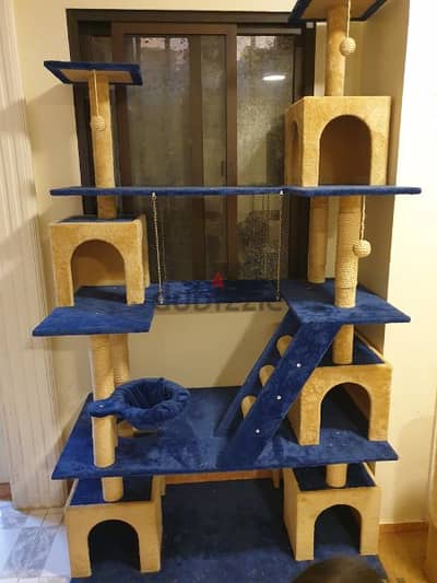 Cat play house