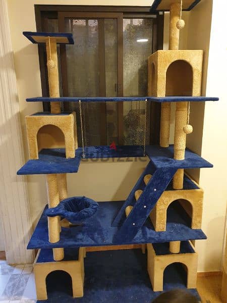 Cat play house 0