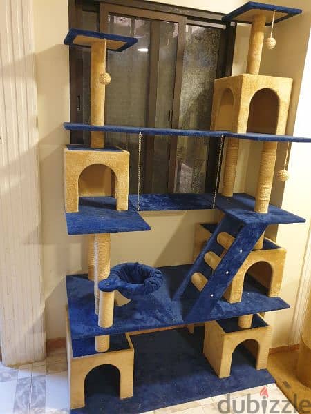 Cat play house 1