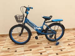 kid bicycle 20 inches 0
