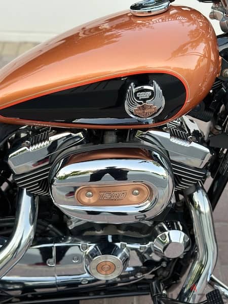Harley Davidson Sporster XL1200 Anniversary Edition 4