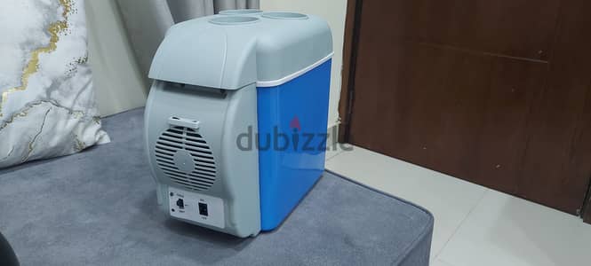 Cooling box electric for car