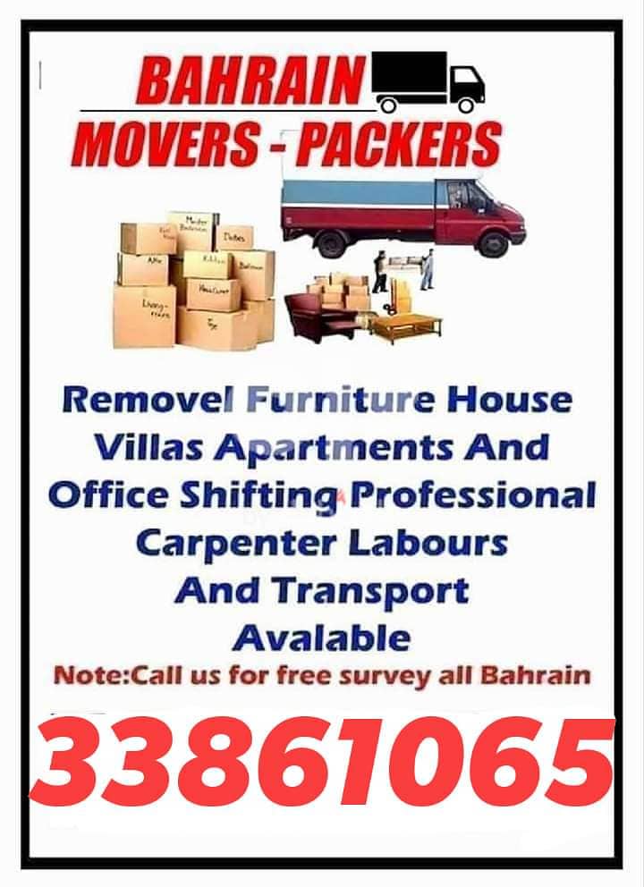 Professional Movers and Packers 0