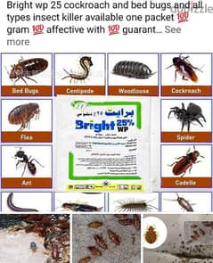 cockroach and bed bugs killer