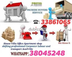Professional Movers and Packers low cost 0