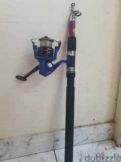 fishing rod and reel combo