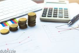 Audit / Bookkeeping/ VAT Services