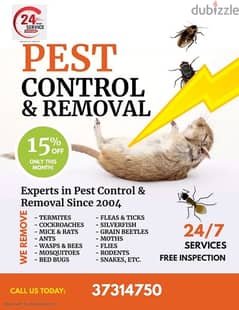 pest control offer full flat and villa 10 bd call 38721909 0