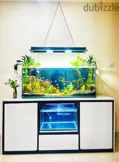 We make custom aquarium