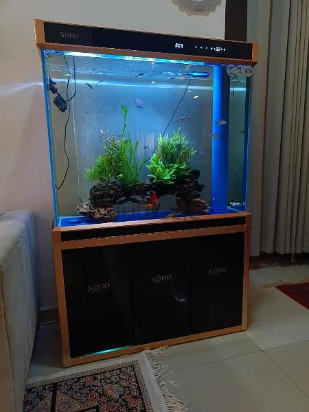 Sump Fish tank aquarium 3