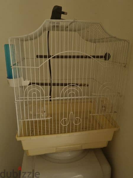 bird cage 1