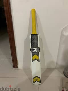 GM HERO Cricket Bat for Sale.