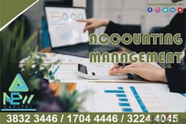 Accounting Management daily / Accounting  service 0