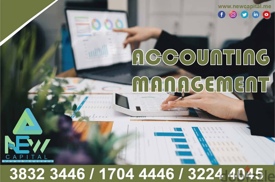 Accounting Management daily / Accounting  service 0