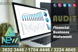 Audit Financial Business Statement 0