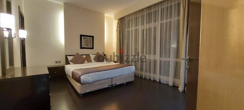 Specious 1 Bedroom Furnished Apartment 3