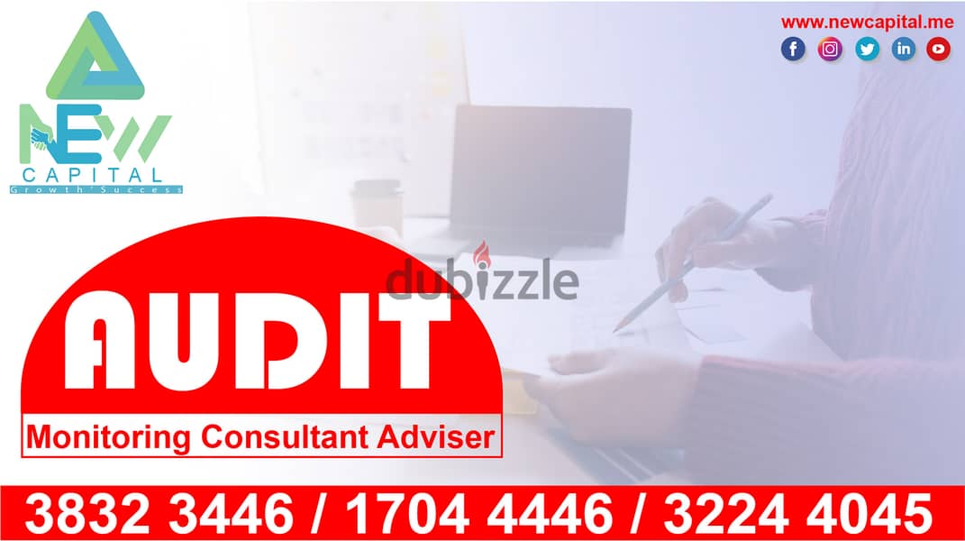 Audit Monitoring Consultant Adviser 0