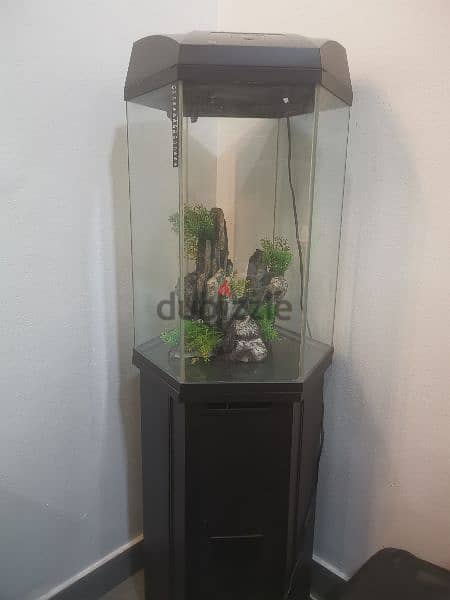 Hexagon aquarium clearance stand