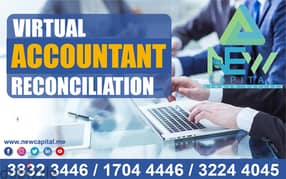 Virtual Accountant Reconciliation 0