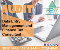 Audit Data Entry Management and Finance Tax Consultant