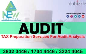 TAX Preparation Services For Audit Analysis 0