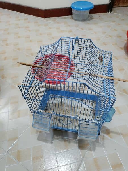 bird cage for sale - BD 1 0