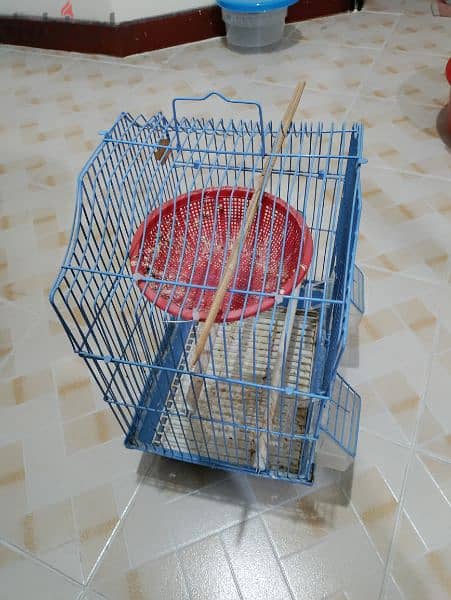 bird cage for sale - BD 1 1