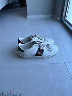 Gucci bee shoes with box 0