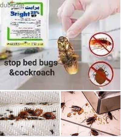 cockroach and bed bugs killer