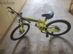 adult sized bike