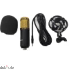 Condenser Microphone for Professionals