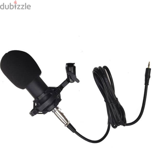 Condenser Microphone for Professionals 1