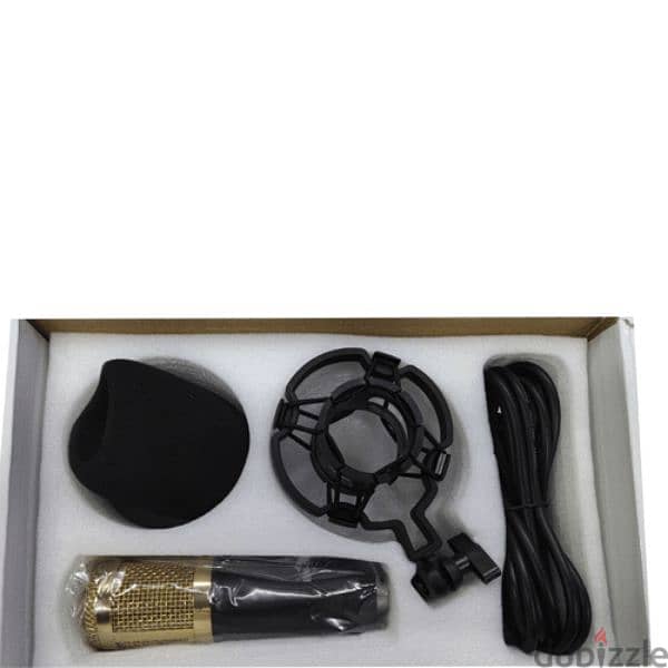 Condenser Microphone for Professionals 8