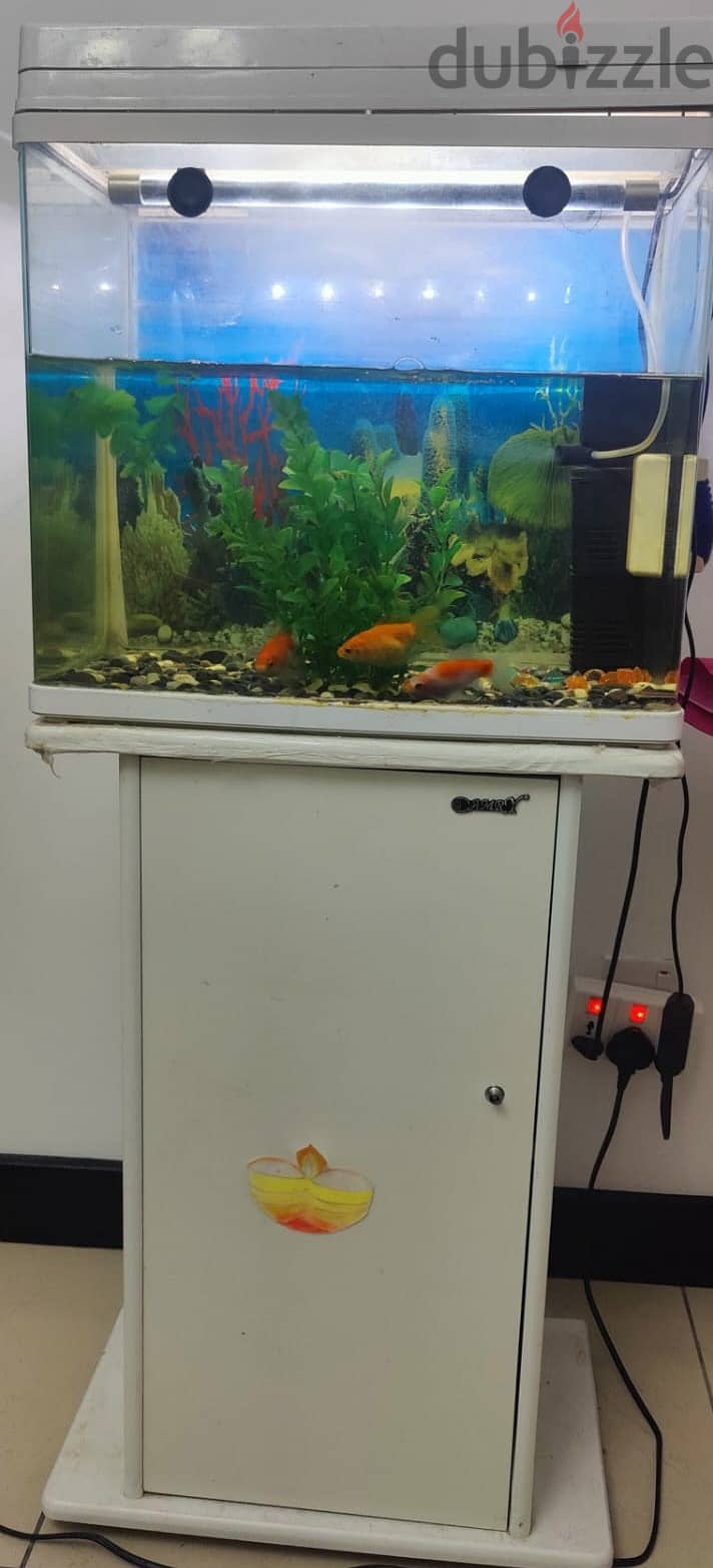 Aquarium for sale 0