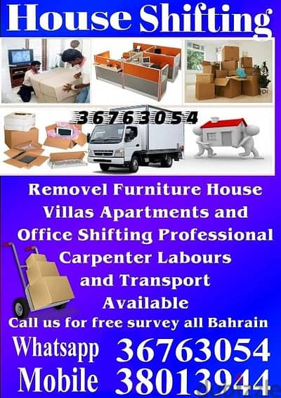 Professional mover packer flat villa office store shop apartment