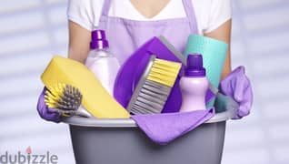 Apartment/Villa cleaning services