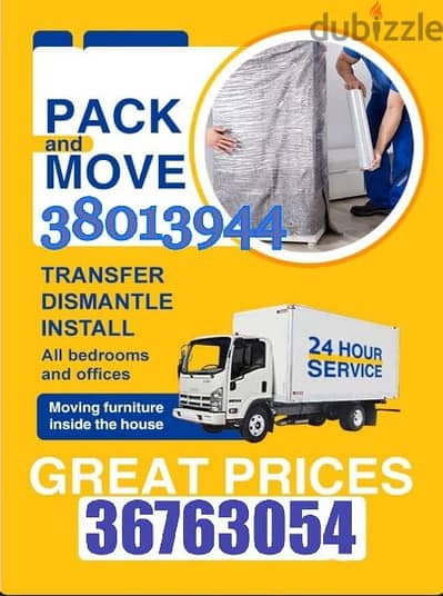 professional mover packer flat villa office store shop 38013944