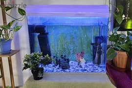 Fish tank with accessories for Sale