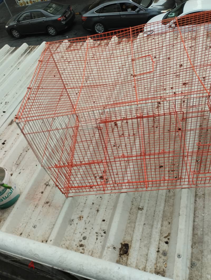 Orange bird cage for sale BD 3 5