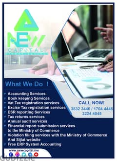 We Do Accounting, Bookkeeping, Audit, VAT, ESR, Excise Tax