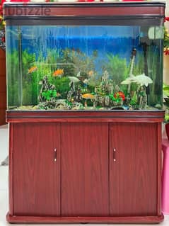 4 feet shop imported fish tank