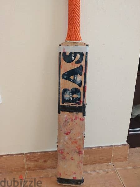 Cricket Bat 1