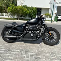 Harley xl 883 l model 2013