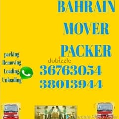 House mover packer and transports
