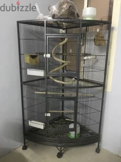 Bird cage heavy duty with 2pairs of zebra finch