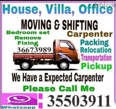 professional services for moving shifting services