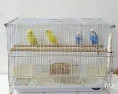 4 Love Birds with 2 breeding Cages for Sale !!! 0