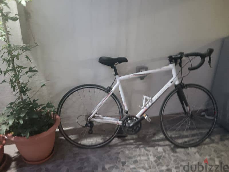 Orbea road bicycle 1