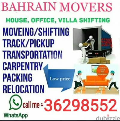 House movers and Packers professional services