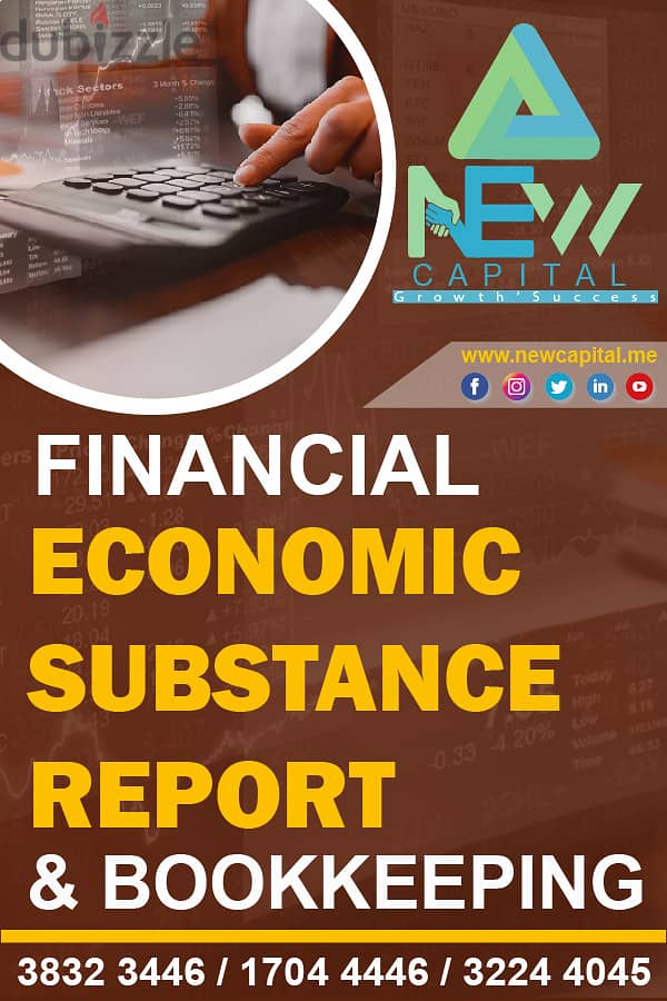 Financial Economic Substance Report & Bookkeeping #ESR 0